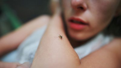 Mosquito lands on a woman's arm